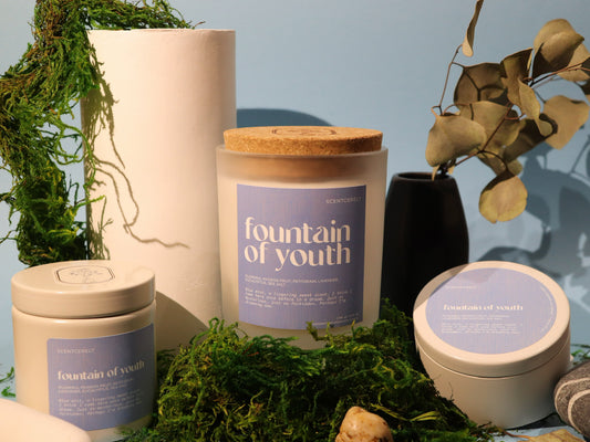 fountain of youth wood wick candle